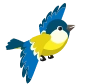 Bird